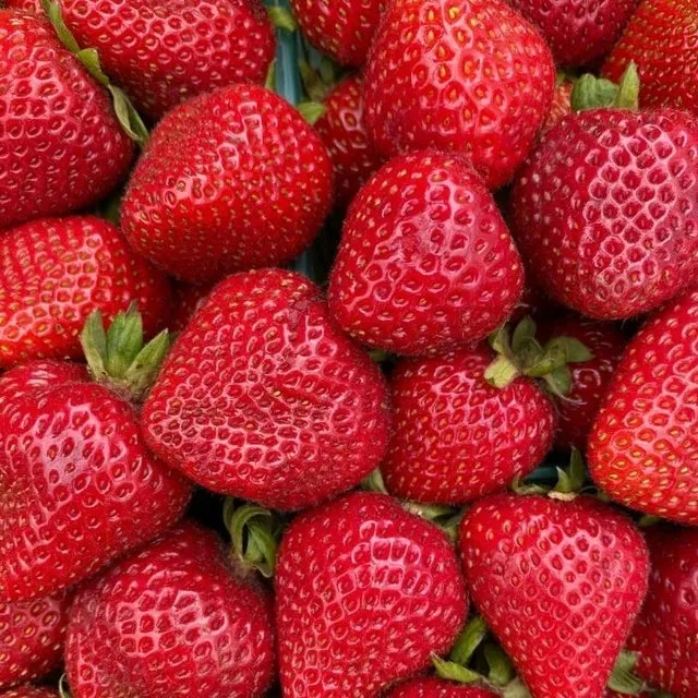 Lip Balm Strawberry